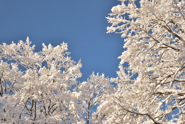 盛岡で雪に強い住宅を建てるためのポイントの画像