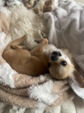 【2025年8月版】ポワンと巡る！千歳烏山駅周辺のおすすめ公園5選の画像