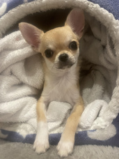 ポワンと歩く千歳烏山｜駅周辺スーパーおすすめ【2025年9月最新版】暮らしがもっと便利に！の画像