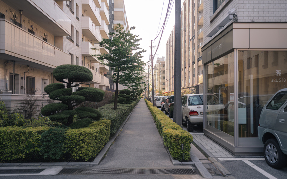 新潟市不動産買取と新潟市不動産仲介どちらが最適？選び方や違いを分かりやすく紹介の画像