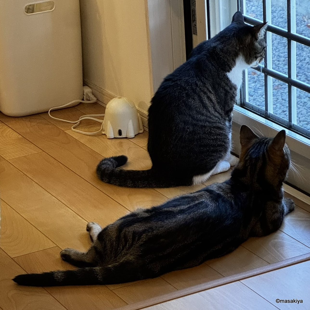 今年もあと4か月の画像