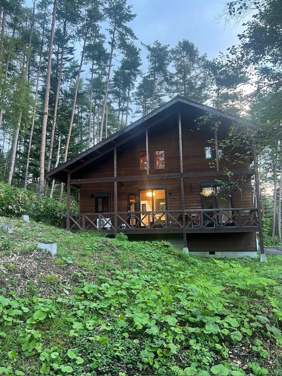 ついに身近にの画像