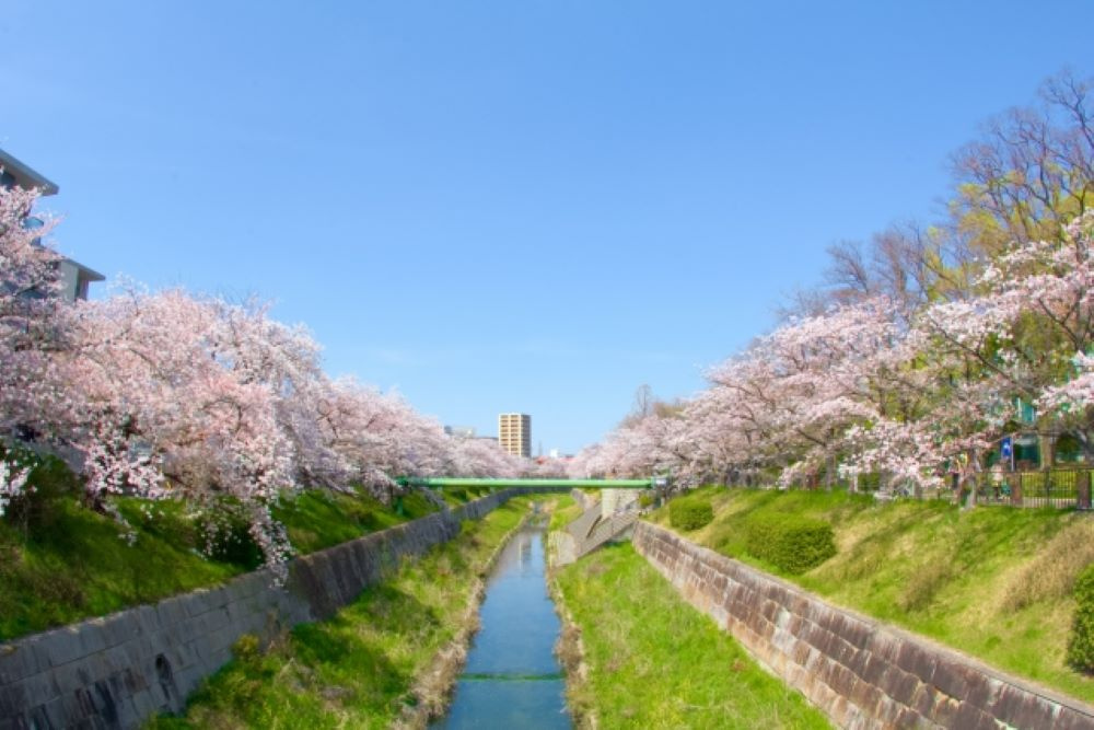 名古屋市瑞穂区の住みやすさはどう？環境やメリットも紹介の画像
