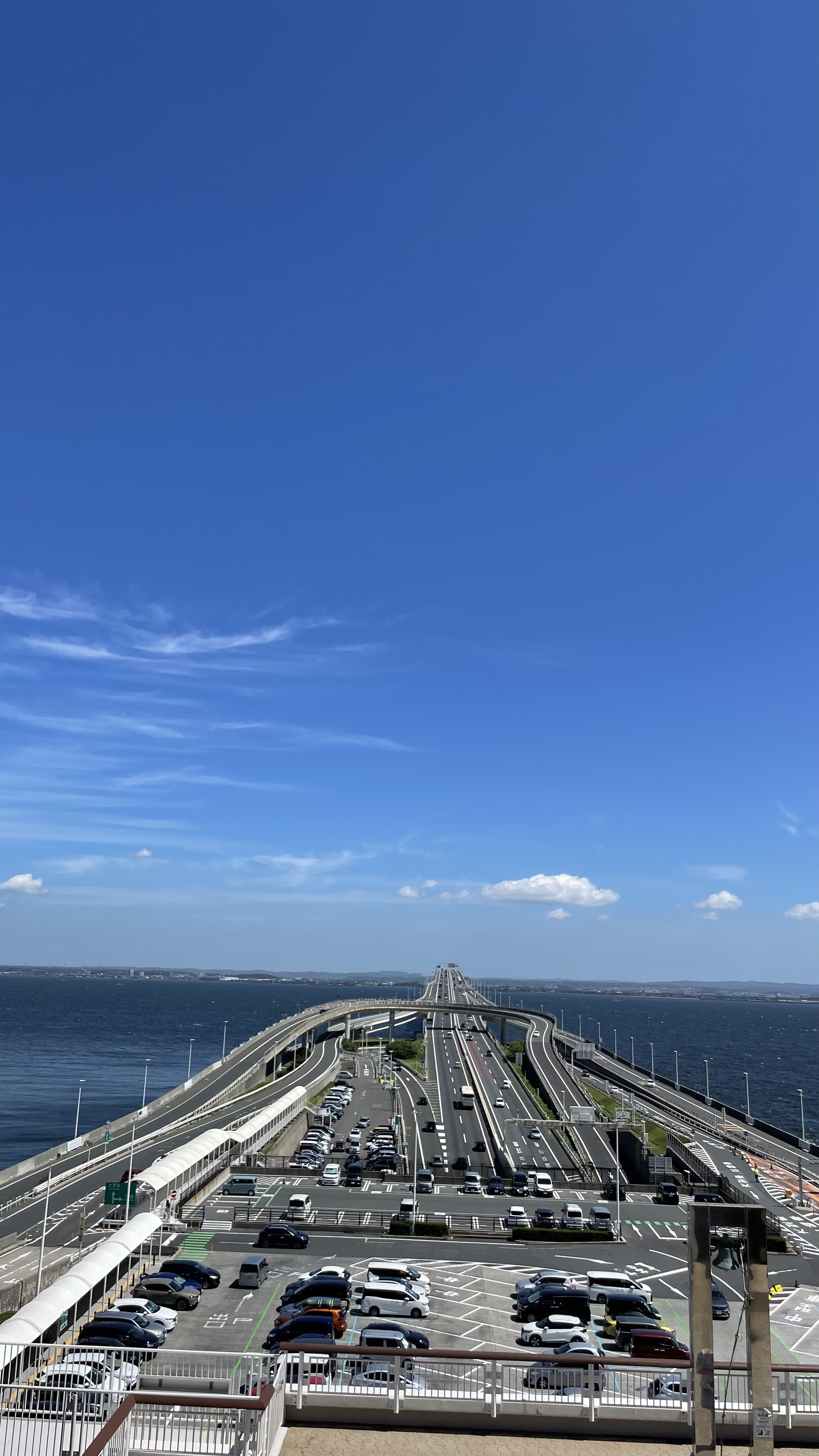 夏休みいただきました~!の画像