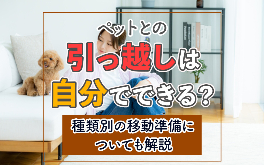 ペットとの引っ越しは自分でできる？種類別の移動準備についても解説