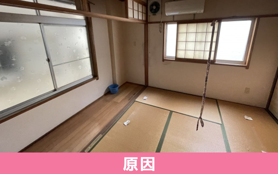 賃貸物件にゴキブリが発生する原因とは