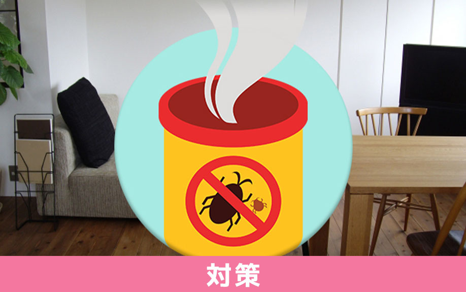 賃貸物件にゴキブリが発生する前におこなっておく対策