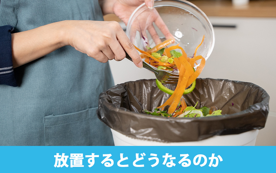 賃貸物件で生ゴミを放置するとどうなるのか？