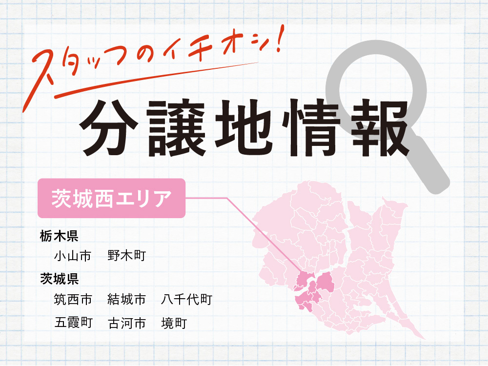 茨城県西部エリア（筑西市・結城市・古河市・八千代町・五霞町・境町・栃木県小山市・下都賀郡野木町）の分譲地情報