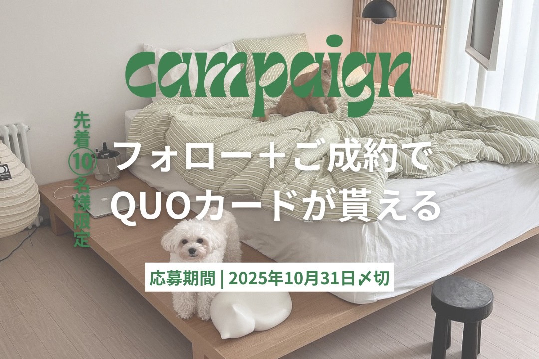 ＼先着10名様限定キャンペーン／の画像
