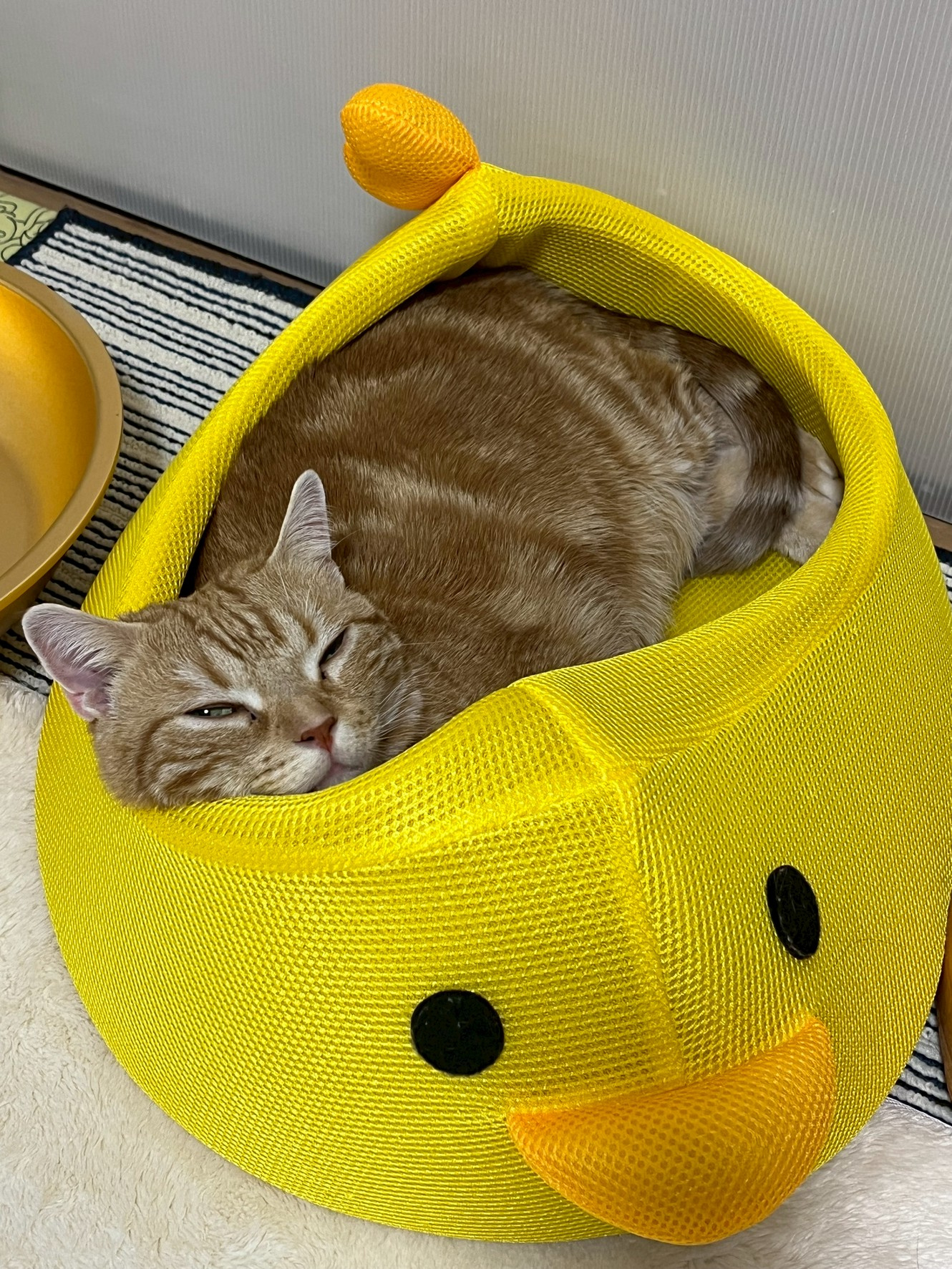 久しぶりの・・・の画像