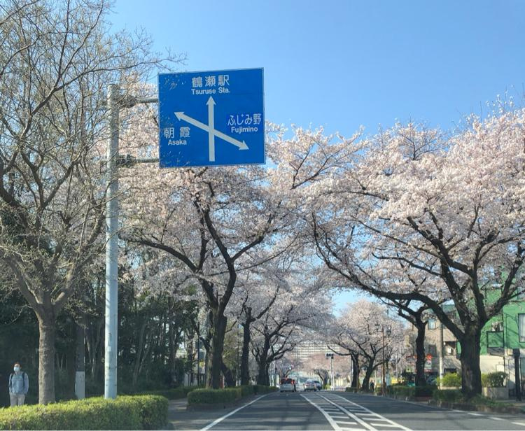 富士見市で子育て支援は充実している？住みやすさも子育て世帯が注目する理由の画像