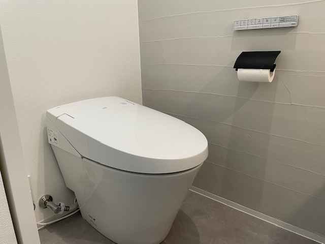 トイレの入れ替え、珪藻土を壁に塗って。の画像