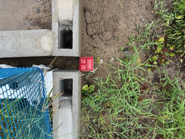 【弥富市不動産売却】境界杭確認の画像