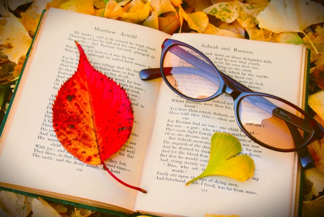 芸術の秋にぴったり！中央区でおすすめの芸術スポット5選の画像