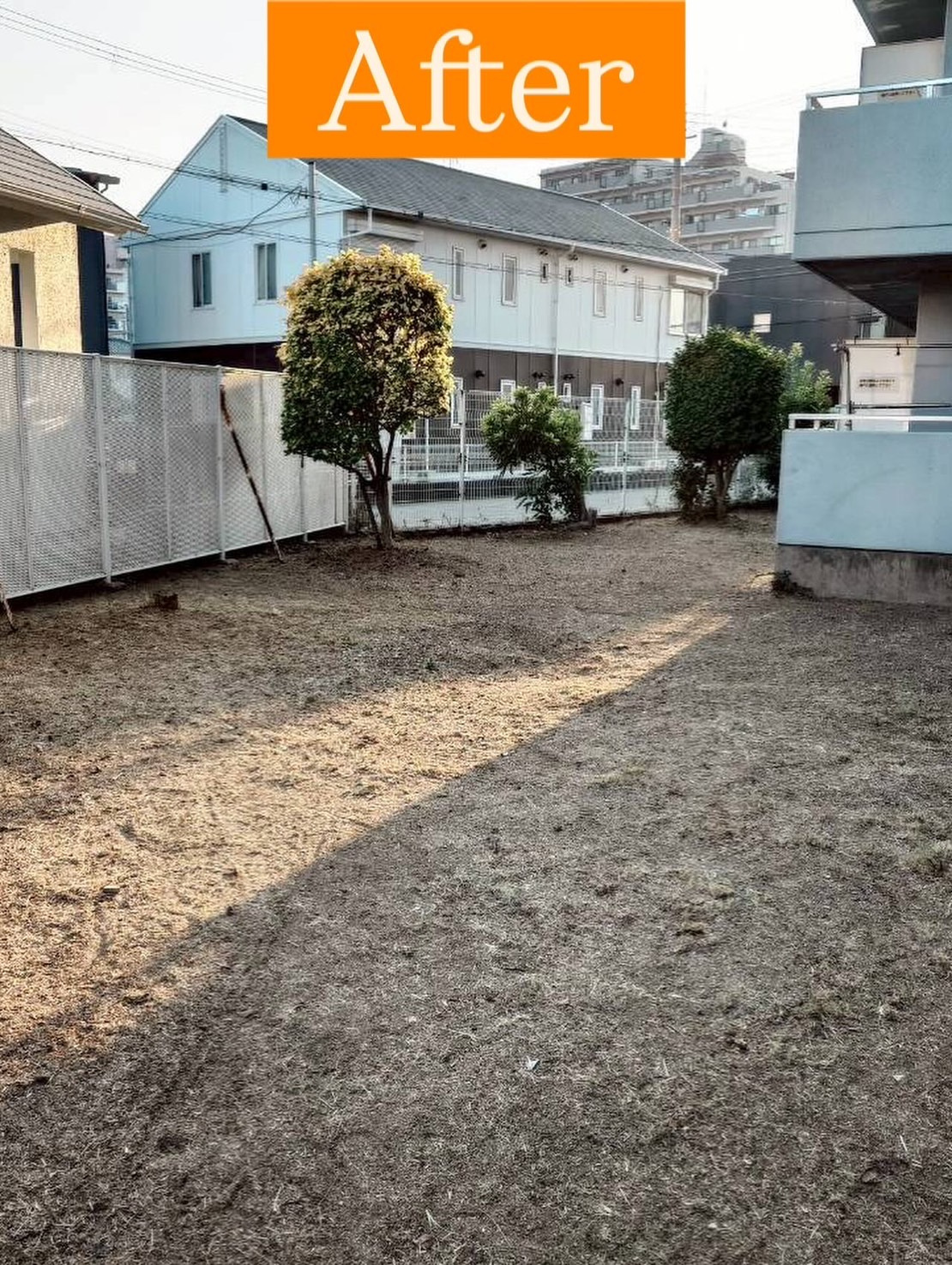 ★管理物件剪定作業★の画像