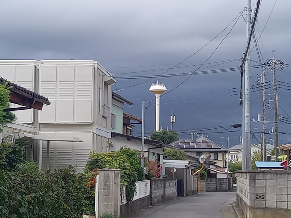 これはなあに？の画像