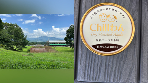 天気が良いので…☀️の画像