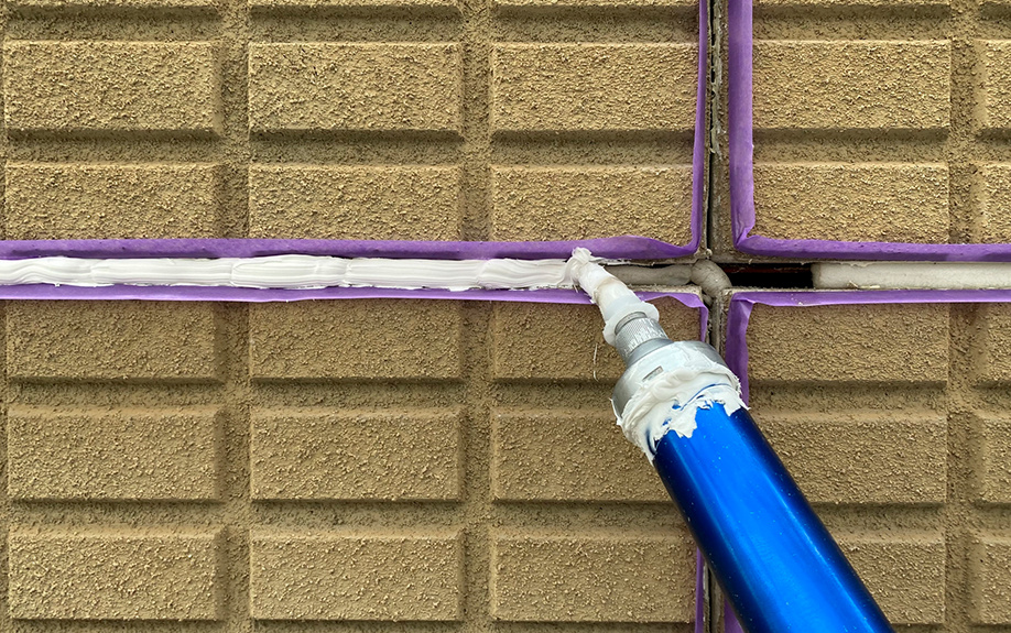 虫が出やすい一戸建ての特徴