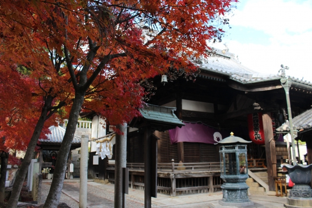 「不洗観音寺」の特徴