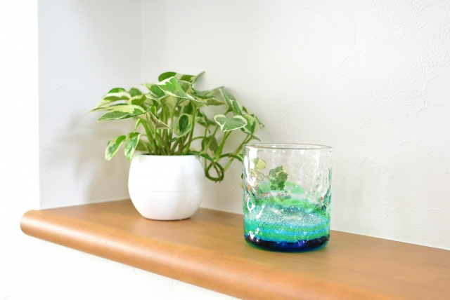 一人暮らしにおすすめの観葉植物