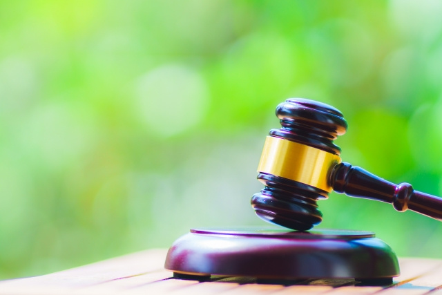 競売のデメリット