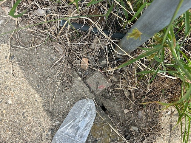 【弥富市不動産売却】境界杭の画像