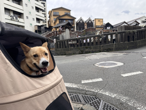 不動産売却について②の画像