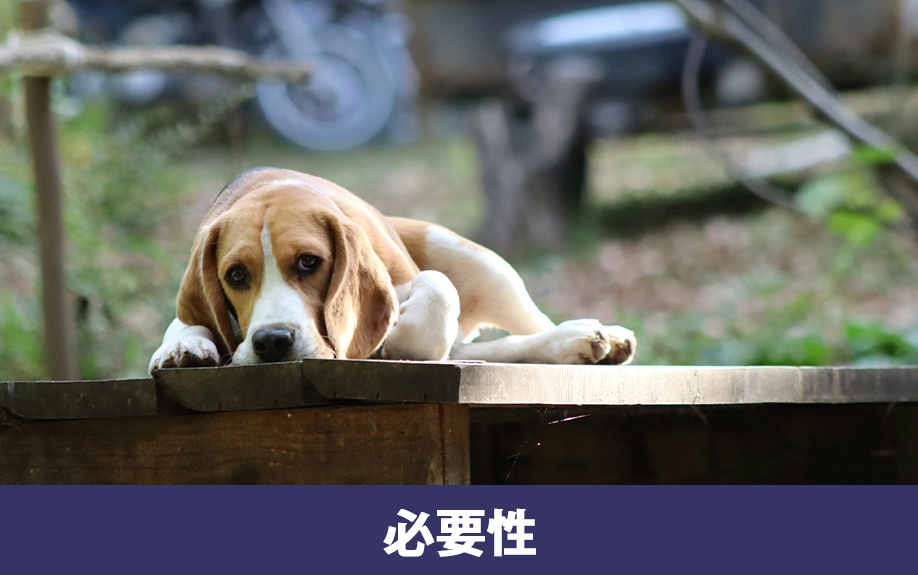 犬小屋の必要性