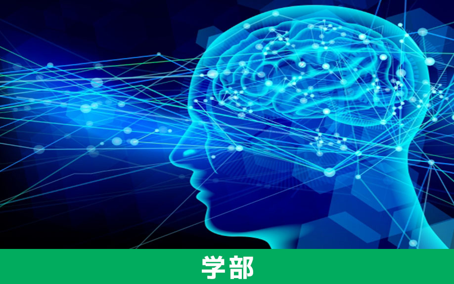 福岡市博多区に開学予定の博多大学をチェック！②学部や学科