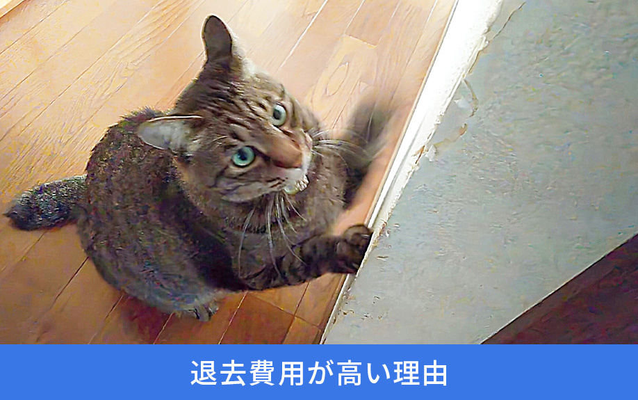 退去費用が高い理由