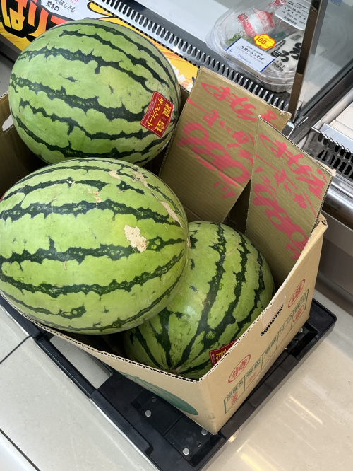 空き家バンクのメリットやデメリットは？登録前に知っておきたい注意点も解説の画像