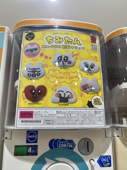 熊本市南区で人気の小学校はどこ？学校選びのポイントも紹介の画像