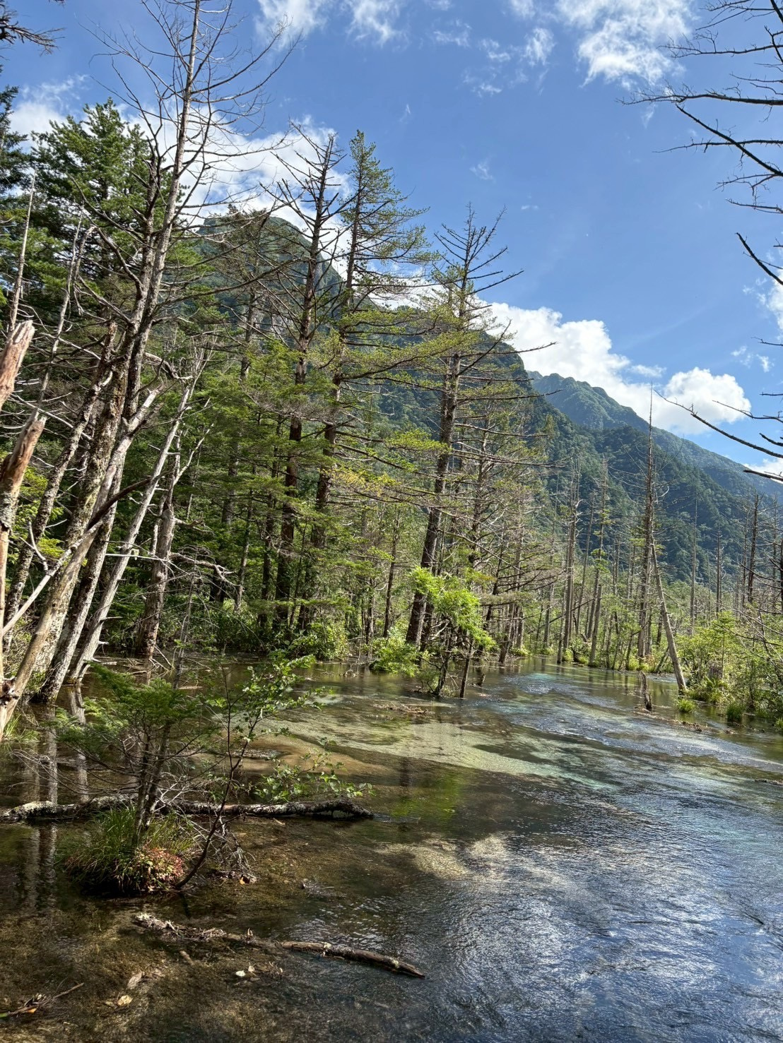 旅行の画像