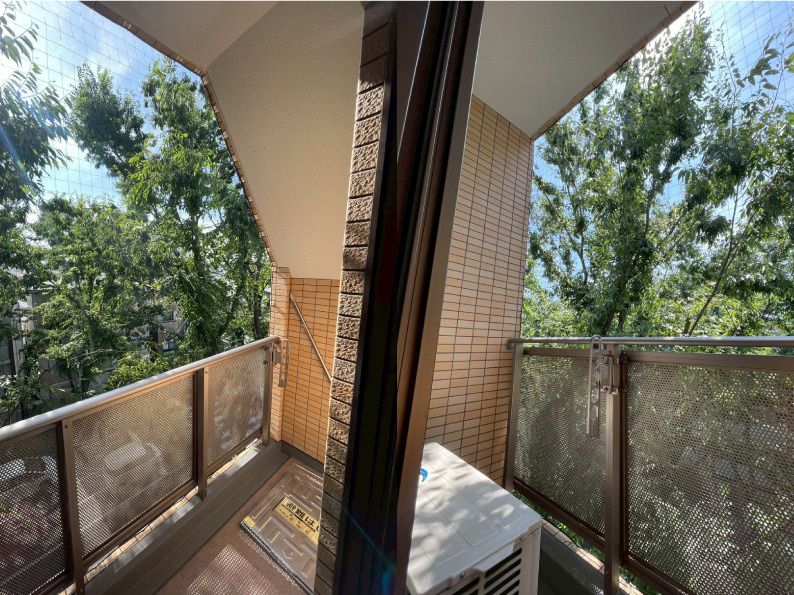 鳩対策　～後編～の画像