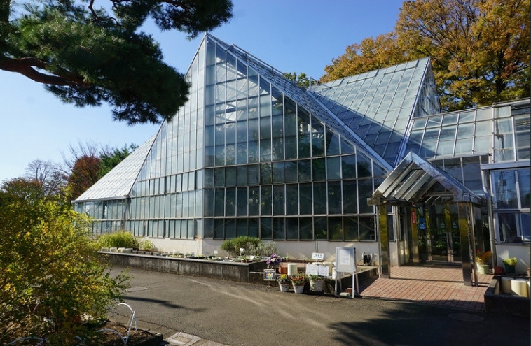 小平市で家族と薬用植物園を楽しむコツは？週末の思い出作りにおすすめのスポットの画像