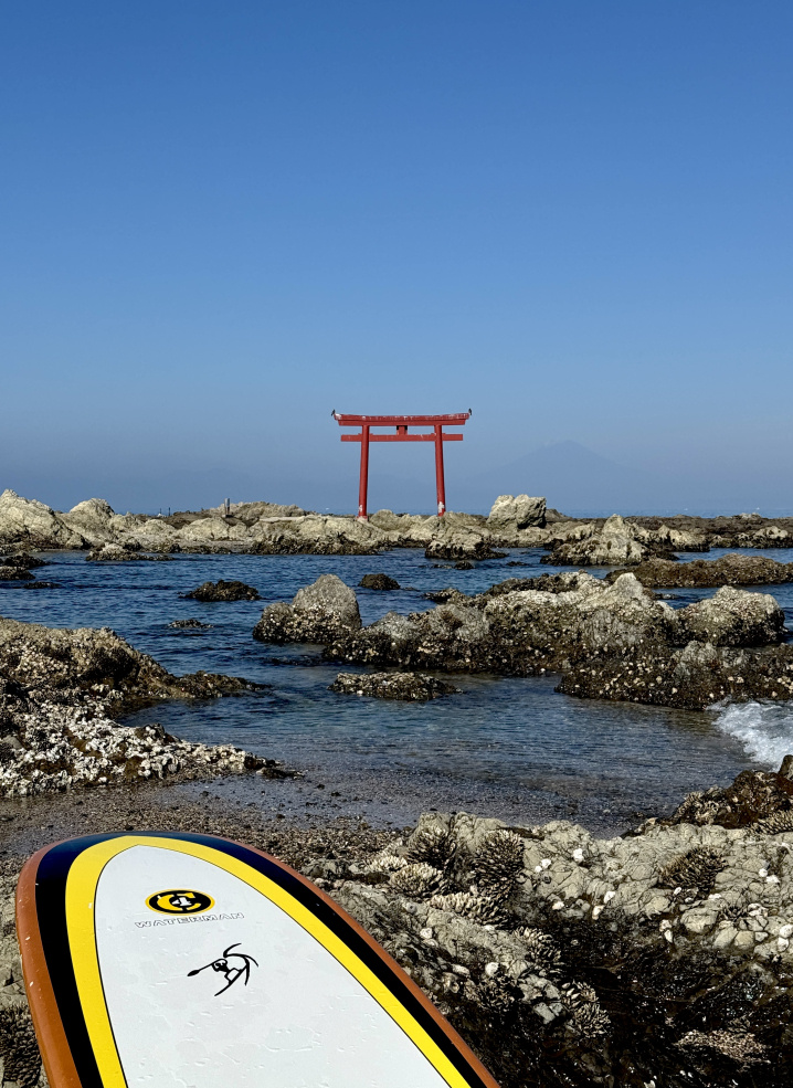 早朝クルージングの画像