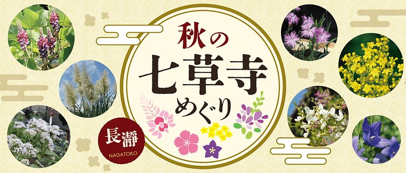 長瀞七草寺めぐり2025の魅力は？おすすめマップやアクセス方法も紹介の画像