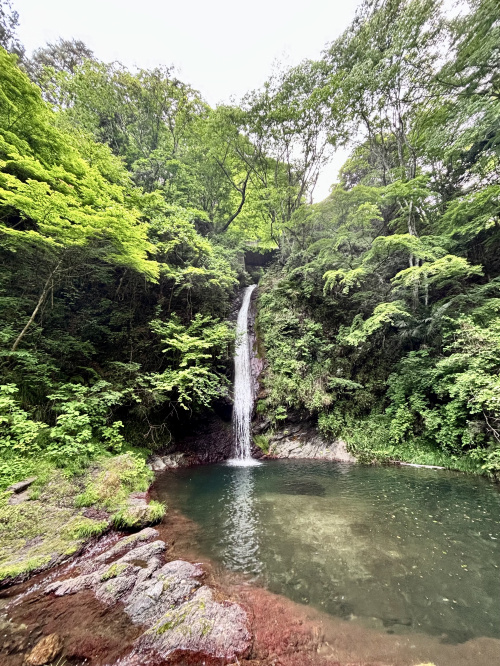 マイナスイオン全開！の画像