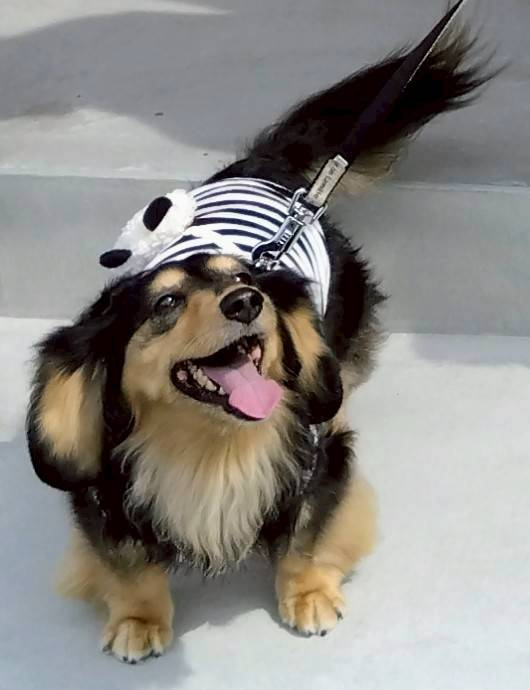 久しぶりの家族旅行でした！の画像