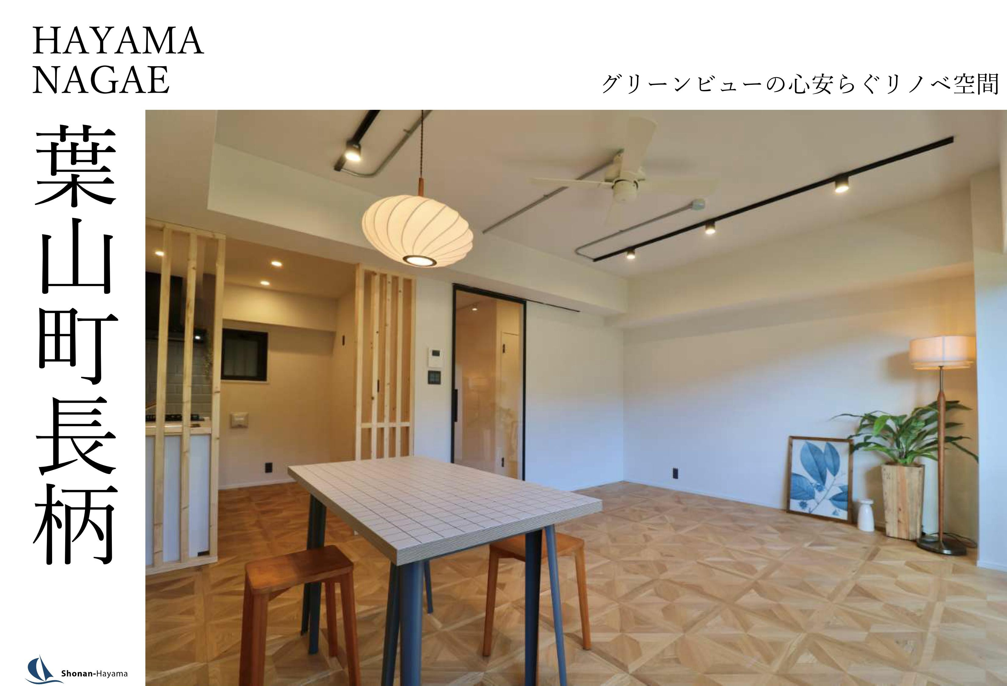 【4090万円】グリーンビューの心安らぐリノベ空間の画像