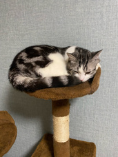 オール電化で叶える安心・安全な暮らしの画像