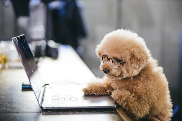 城東区で家を探すならどのエリアがいい？おすすめの家選びポイントも紹介の画像