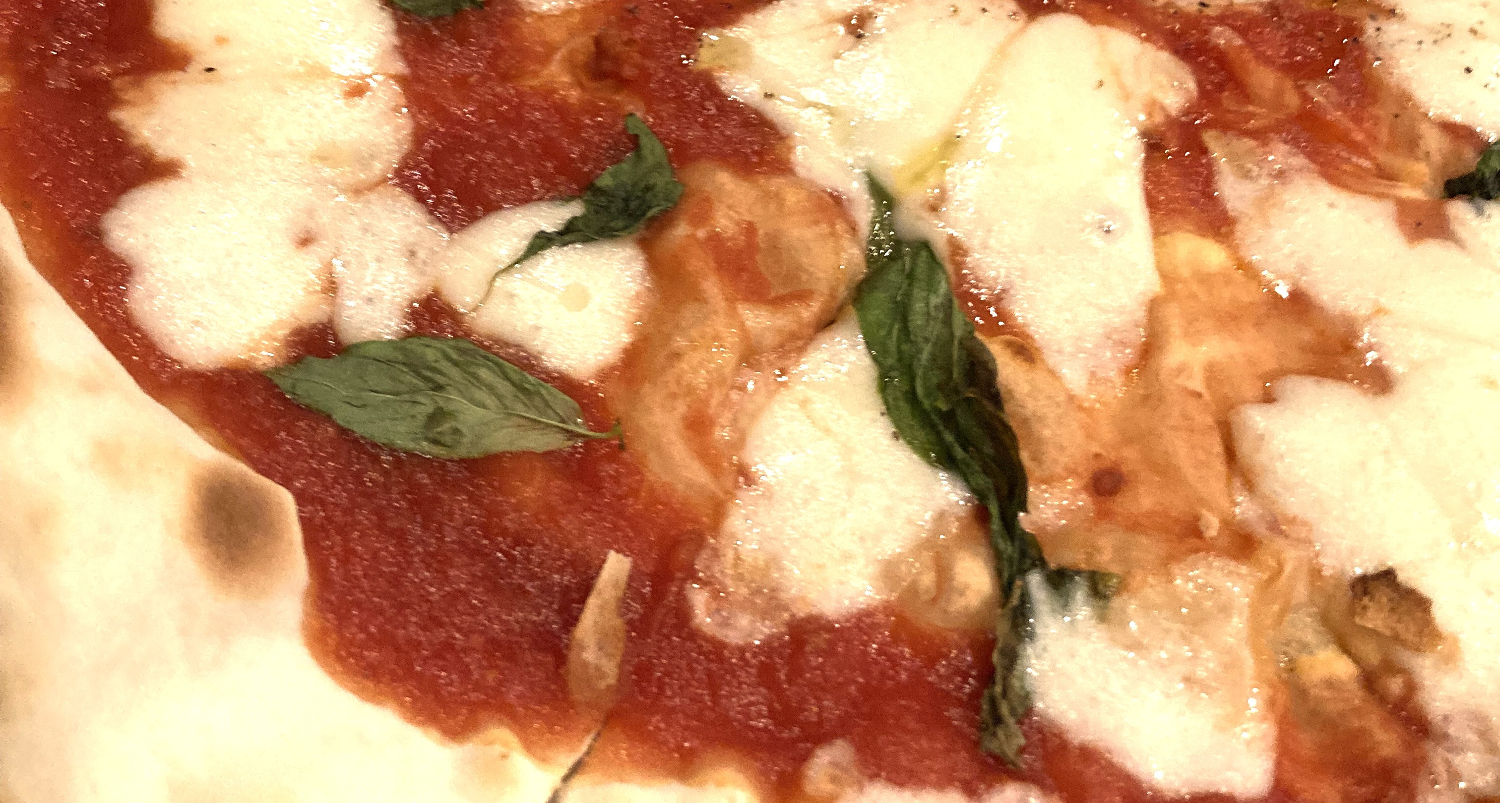 川越の魅力を紹介します！⑭～川越の登録有形文化財にて～の画像