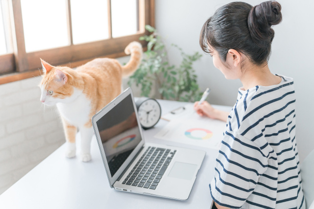 ペット飼育をしている物件を有利に売却する方法の画像