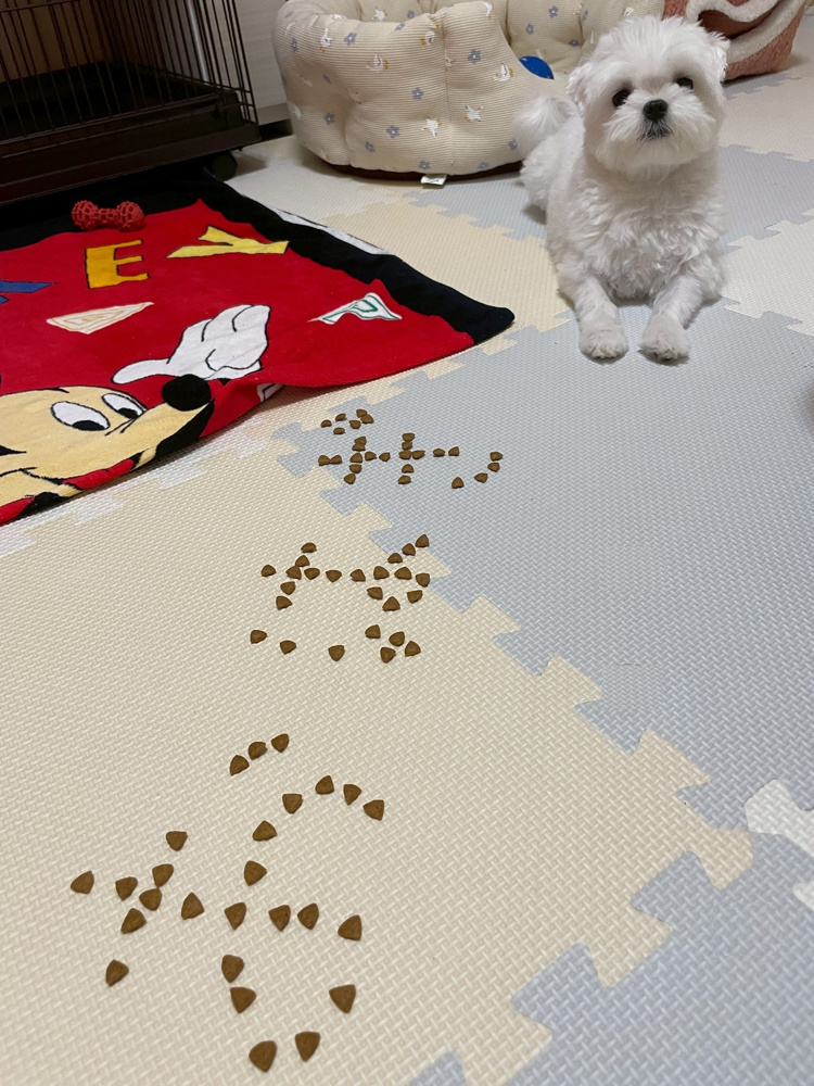 今日のおはぎの画像