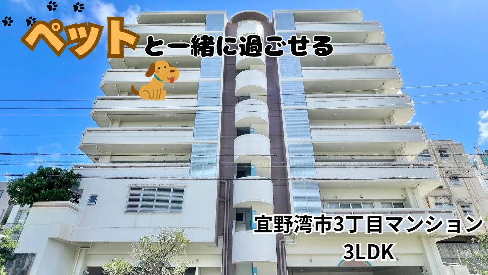 最新物件！＼アベニールマンション／の画像