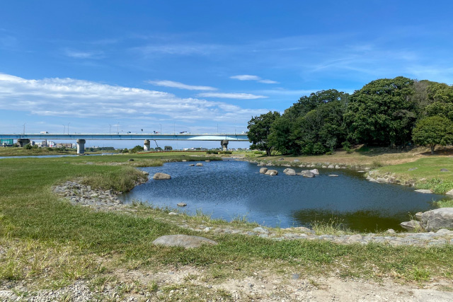 緑地保全地域の規制内容