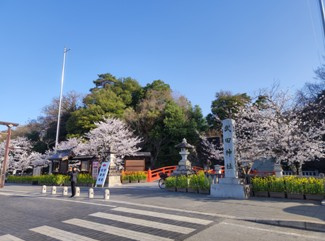 【山梨県】全27市町村の『観光名所』一覧の画像
