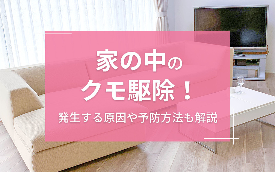 家の中のクモ駆除！発生する原因や予防方法も解説の画像